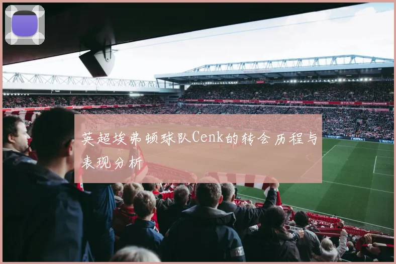 英超埃弗顿球队Cenk的转会历程与表现分析